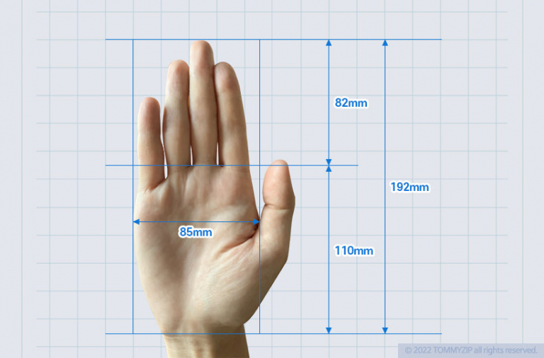 Mouse Hand Sizing 손 크기 | TOMMYZIP